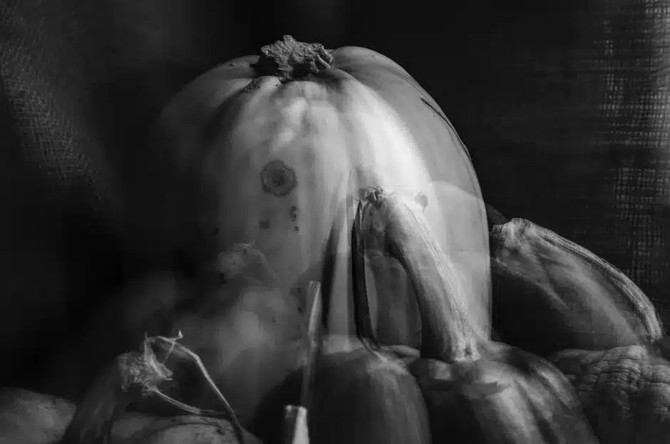 Black and white double exposure of assorted types of pumpkins placed on textile in room during harve